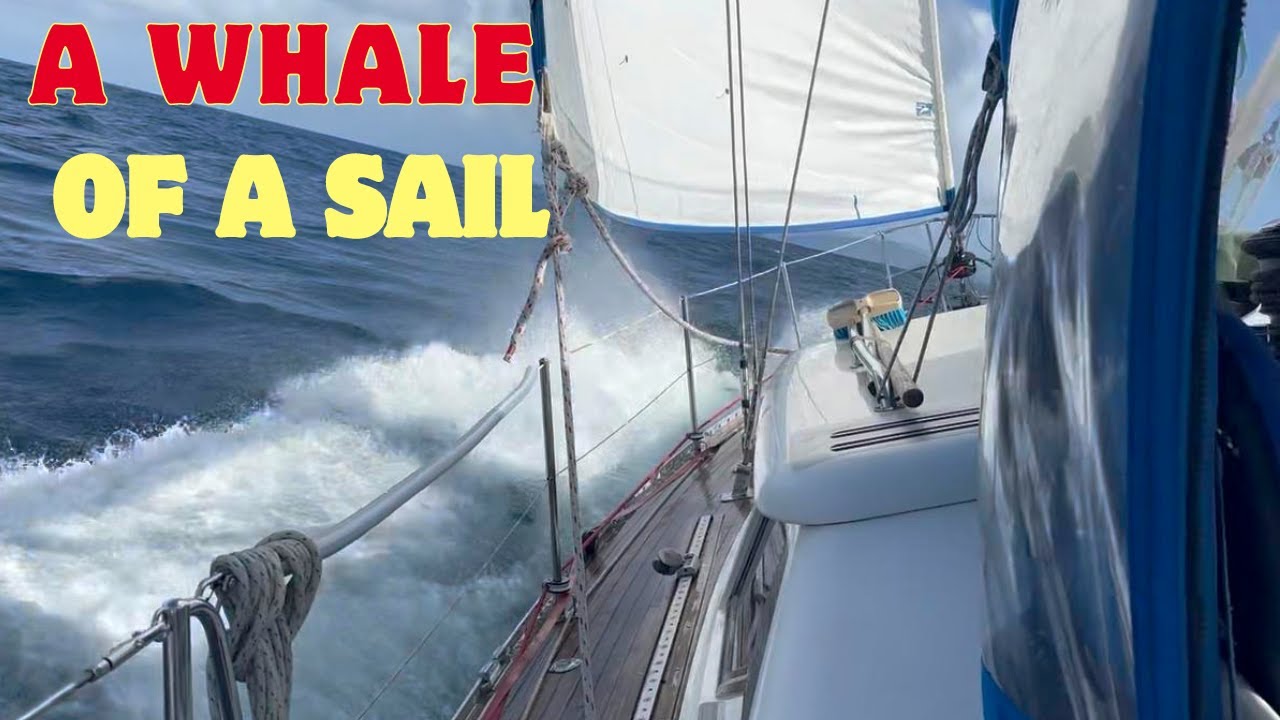 Секретный остров, где до сих пор охотятся на китов (Бекия)