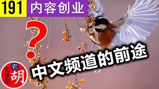 【胡说#191】做中文还是英文内容更有前途？用数据说话！Youtube Channel in Chinese.