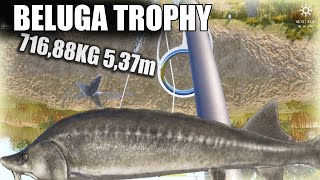 Russian Fishing 4 RF4 Akhtuba River Beluga Trophy 3. 716,88kg Action, Profit and Cost