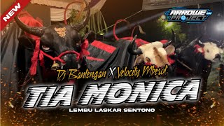 Download Lagu DJ BANTENGAN‼️ TIA MONICA VELOCITY MBEROT | LEMBU LASKAR SENTONO, FROM ARROWE PROJECT MP3