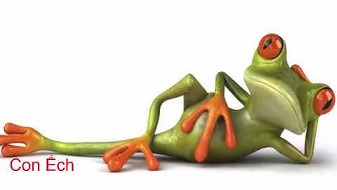 Dạy bé học online - Các loài động vật dưới nước