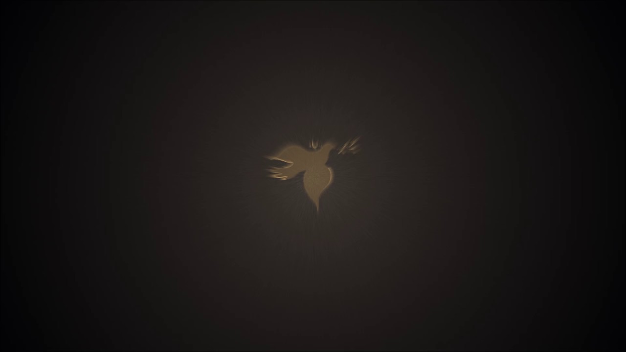 New golden dove intro