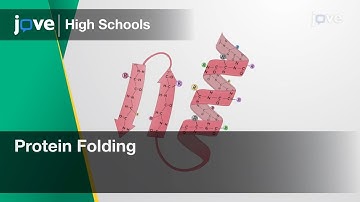 Protein Folding | Cell Bio | Video Textbooks - Preview