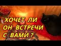 Хочет ли он Вас увидеть? Хочет ли встречи?