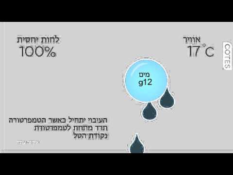 וִידֵאוֹ: מהי 