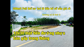300m2 full thổ hai lô sổ sẵn 550 triệu mặt tiền đường nhựa mua cả hai lô giá tốt đầu tư đất Gò Dầu