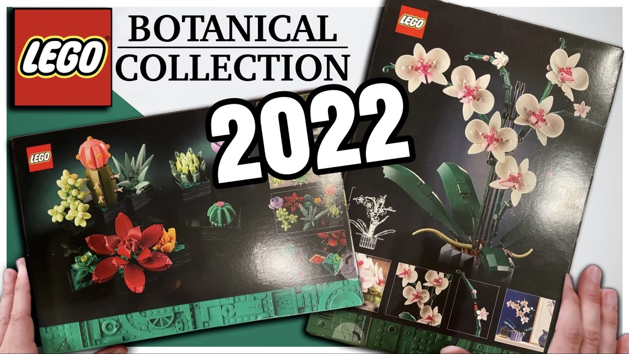 Nouveautés LEGO Botanical Collection 10309 Succulents et 10311 Orchid -  HelloBricks