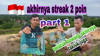 mikat pelatuk bawang dapat 2 ekor||part 1