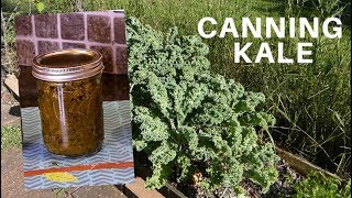 kale greens cooker pressure canning