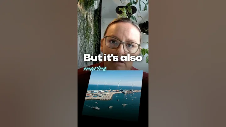 Green finance is taking off, but what about the Blue Economy? 🌊💸