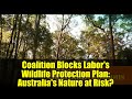 Coalition Blocks Labor's Wildlife Protection Plan: Australia's Nature at Risk?