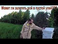 Может ли залететь рой в пустой улей??? Метим пчелиную матку без всяких приспособлений