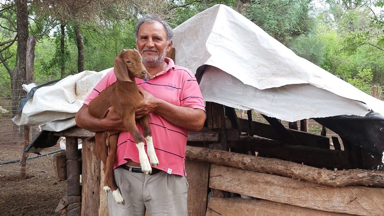 Así es la VIDA MONTE ADENTRO en una COLONIA RURAL AISLADA de TODO/ Colonia Iporaguazu- Chaco