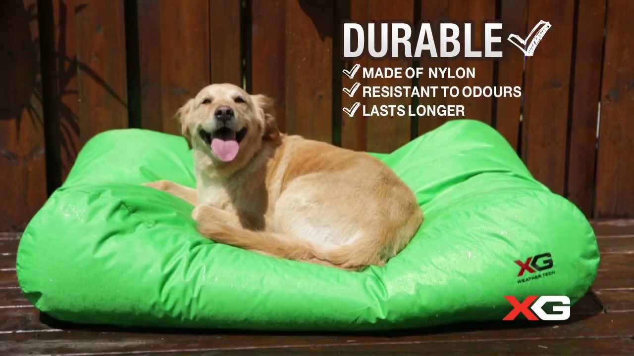 Dogit XGear Waterproof Dog Beds YouTube
