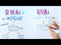 Understanding the Chromosomal Abnormality known as Uniparental Disomy (shortened)