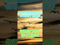 【 この手を伸ばせば 】《 GARNET CROW 》原点に戻り大好きな音楽グループの名曲をDTMで作ってみた!