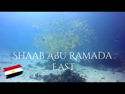 Diving Famous Shaab Abu Ramada East Reef - Hurghada - Egypt