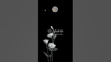 القرآن الكريم | سورة هود | للقارئ رعد الكردي | تلآوة خاشعة جميلة جدآ😌❤ | حالات واتس اب