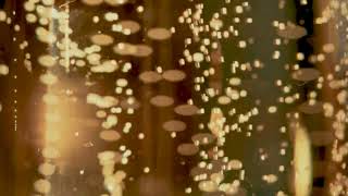 Champagne Bubbles Screensaver | Celebration Background | Wedding Engagement Party Ambience | 3 Hours Profile