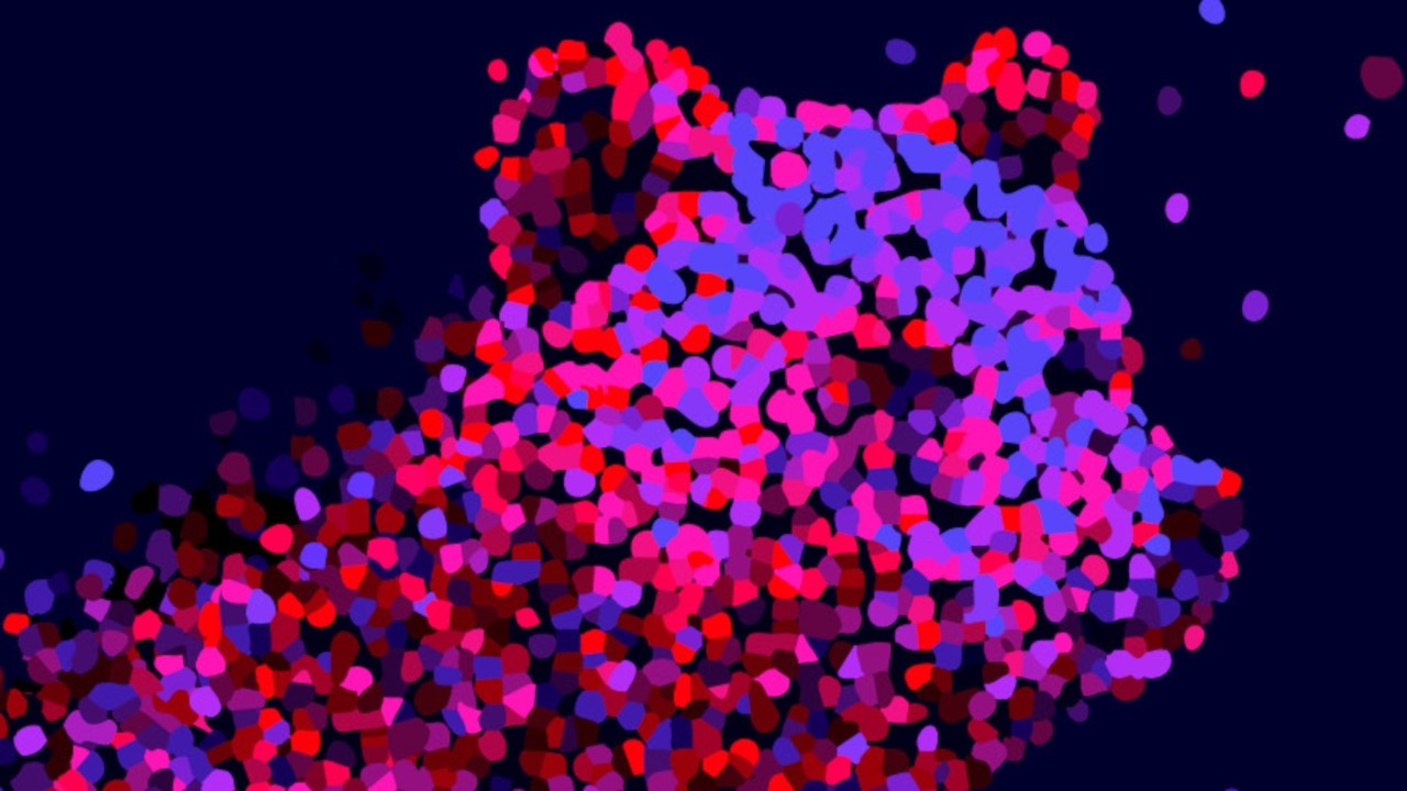 Cinegarage. Conferencia de prensa Berlinale 2026. Videocolumna.