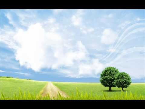 يوم ترى المؤمنين والمؤمنات القارئ الشيخ رامي حسن