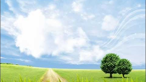 يوم ترى المؤمنين والمؤمنات القارئ الشيخ رامي حسن