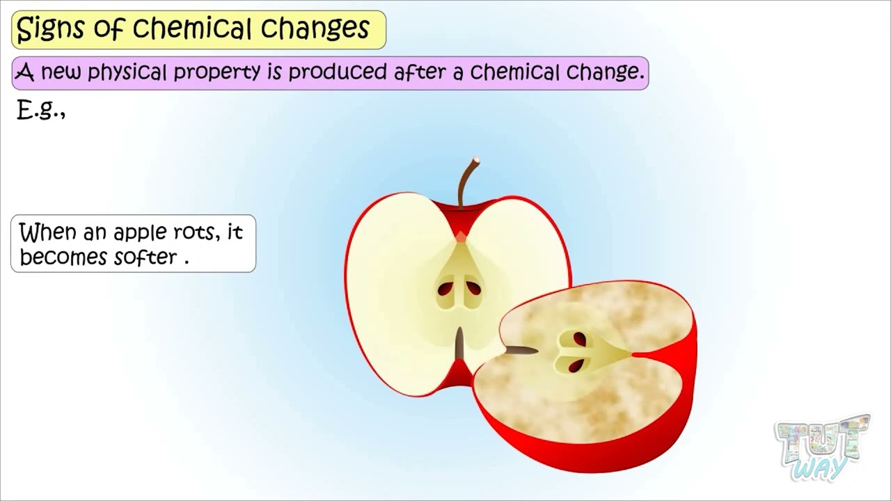 Signs of Chemical Changes | Chemical Changes & Physical Changes | Chemistry | Science