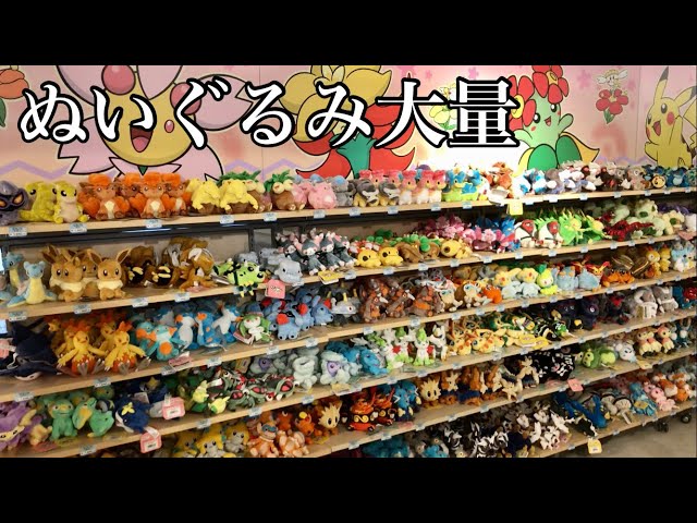 I went shopping at the Pokémon Center branch [Hakodate