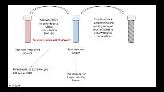 How To Reconsute Pcr Primers