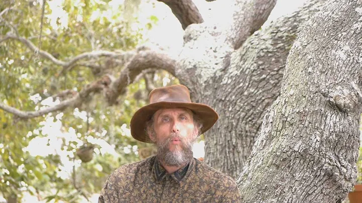 Genesis 28:20-22 (Our Christian Offering - Have You Been Misled About Tithing)