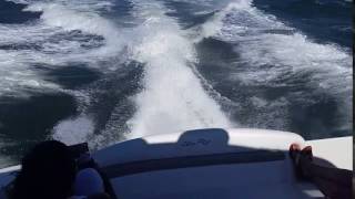 20140706_155915.mp4