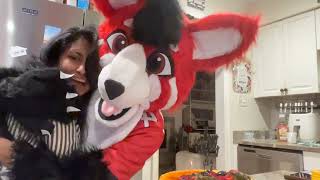 My Mom Gets A Big Hug On Her Birthday From Flash Fox. , , , .