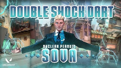 THE ONLY DOUBLE SHOCK DART GUIDE YOU