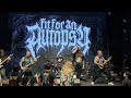 Fit for an autopsy - live mr fox