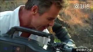 Man And Cheetah-An Incredible Reunion.