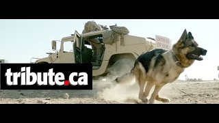 Famous Megan Leavey - Official Trailer (2017) Net Worth