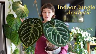 the best plants for an aesthetically pleasing indoor jungle 🌿🏡