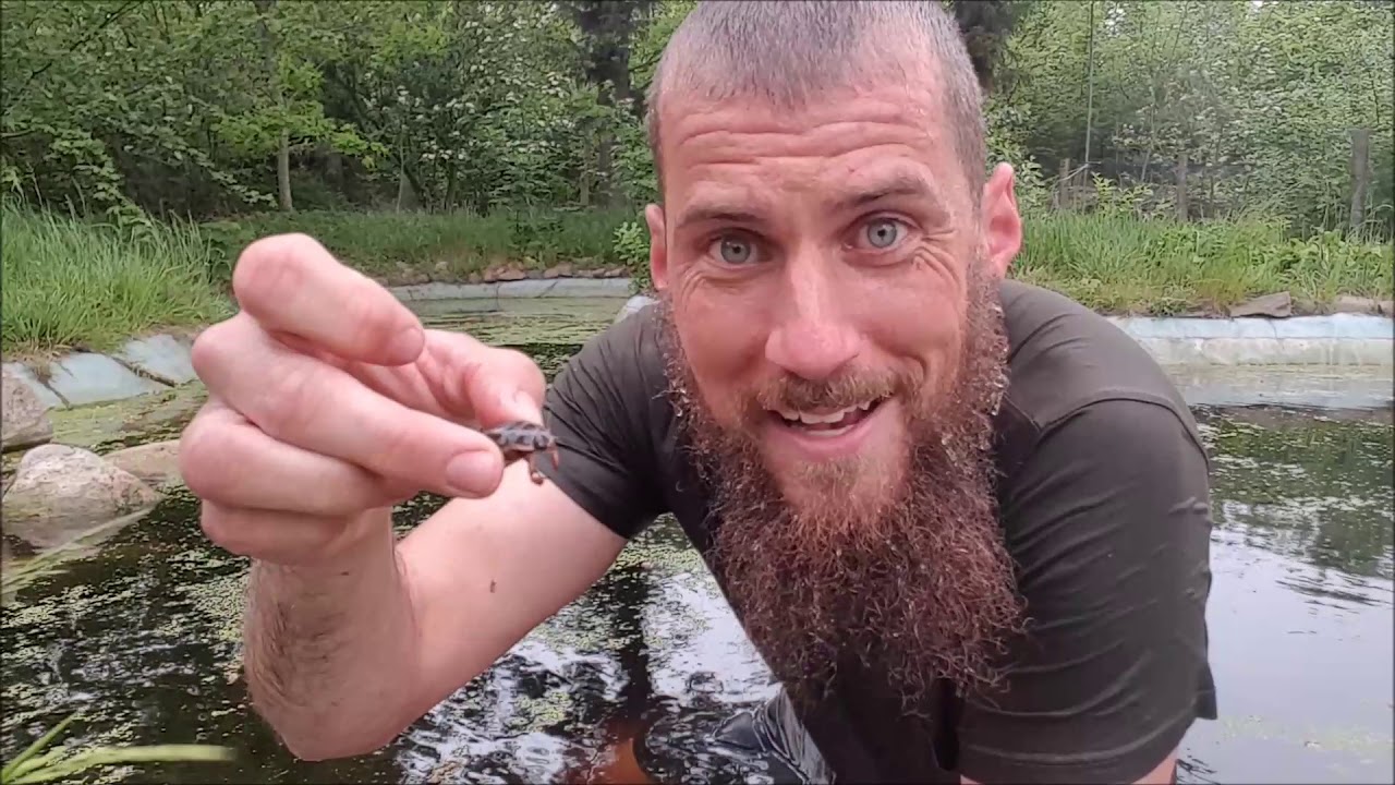 NaturNørd 102. Rovdyret Fra Vandhullet.