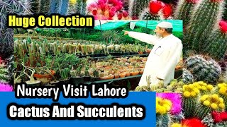 Cactus and Succulents Plant Huge Collection Nursery Visit Lahore