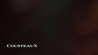 CousteauX - Memory Is a Weapon (extended DrMilojewic edit)