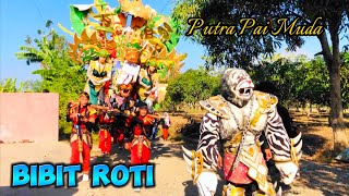 Bibit Roti Singa Depok Putra Pai Muda Live Ds Telukagung