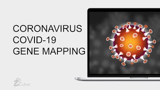 CORONAVIRUS – COVID-19 GENE Mapping