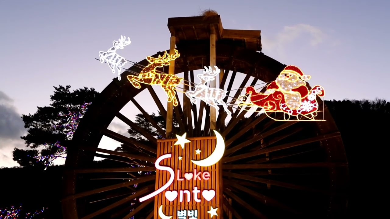 크리스마스  송해공원  2025년 크리스마스트리의 최정상급