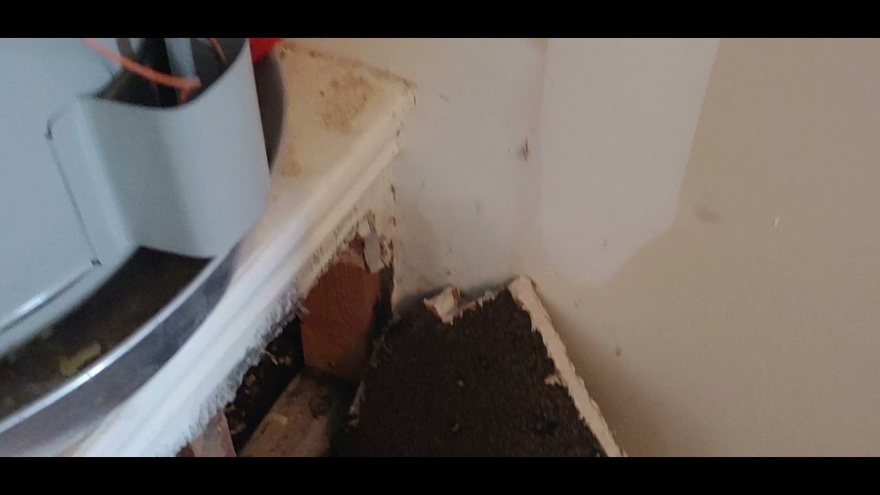 Point Sur Leak under water heater April 2021 YouTube