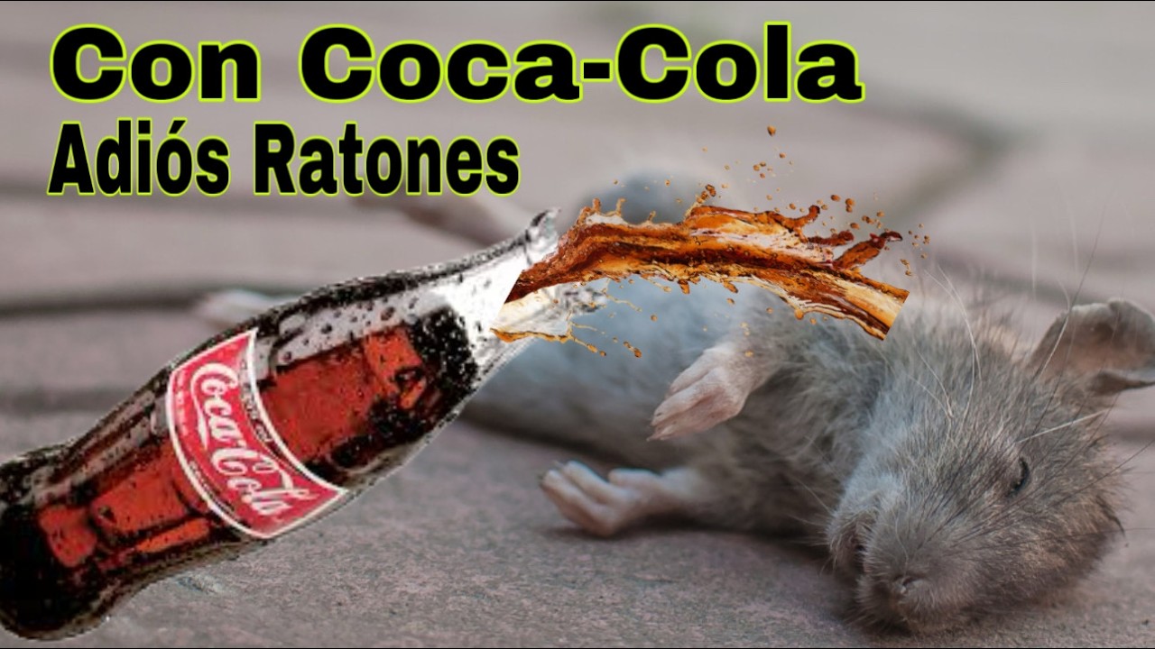 No Creerás lo que hace la Coca-Cola con los Ratones...¡PRUÉBALO! - YouTube