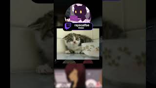I am in fact.... a scaredy cat #twitch #entvuber #vtuberclip #phasmophobia