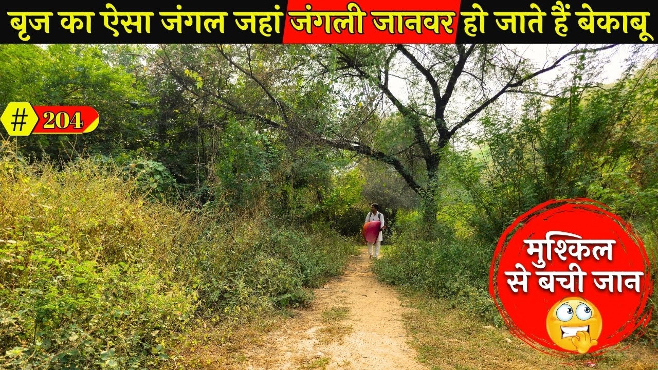बृज का ऐसा खौफनाक जंगल, जहां शाम के 4 बजते ही हो जाती हैं सारी हलचलें बंद.. @BrajVihar #radharani