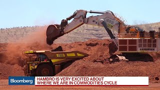 BlackRock's Hambro Says Mining Companies Should Get a Re-Rating