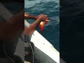 Mancing ikan part 37  strike ikan kerapu merah
