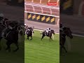 It’s a fourth G1 Newmarket Handicap for Craig Newitt! 🏆🏆🏆🏆  CABALLUS does it from the front 👊